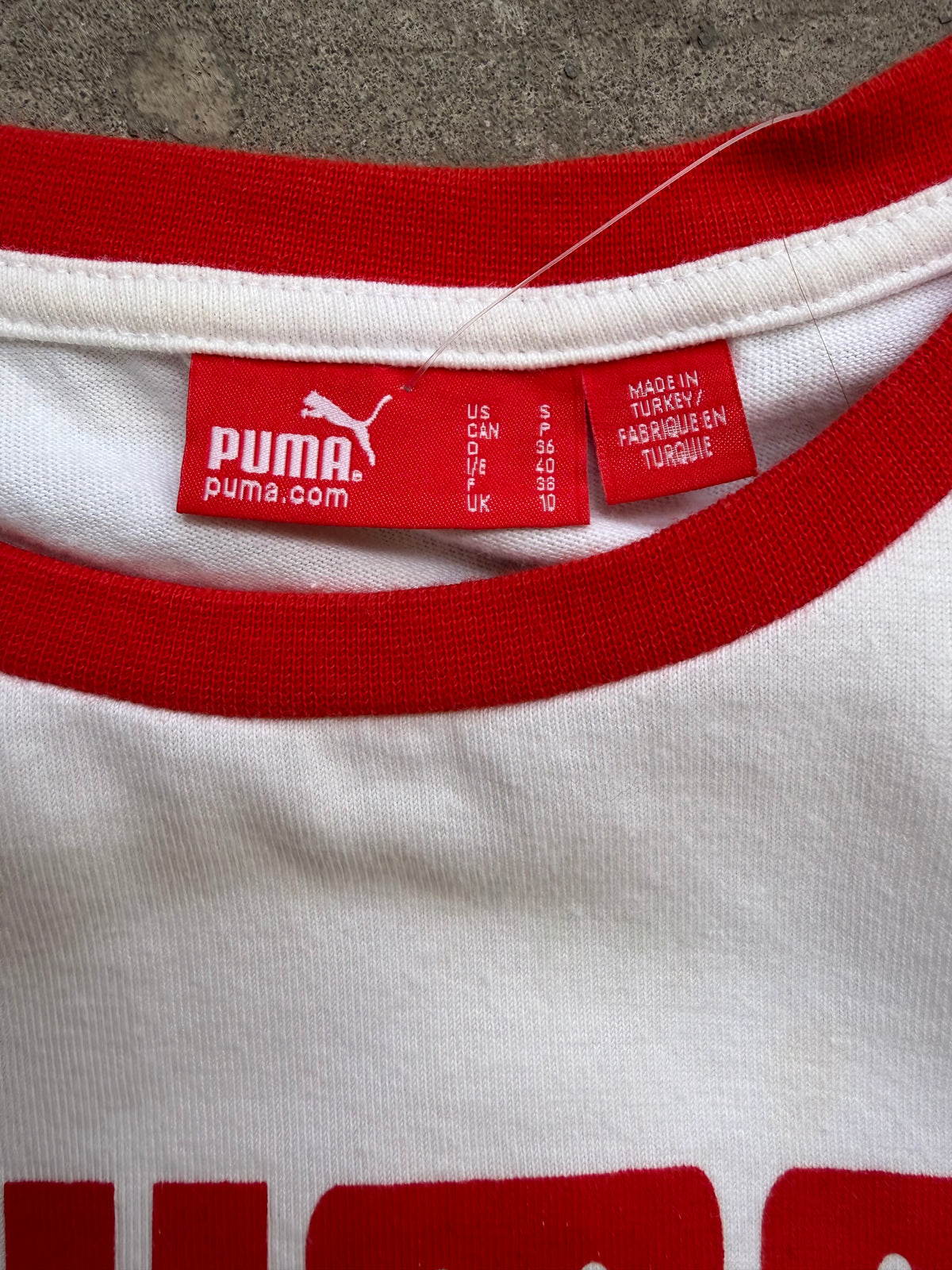 Puma in hammock tee